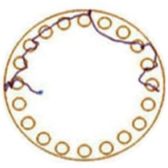 Hypoxia + Ligation + Hypothermia